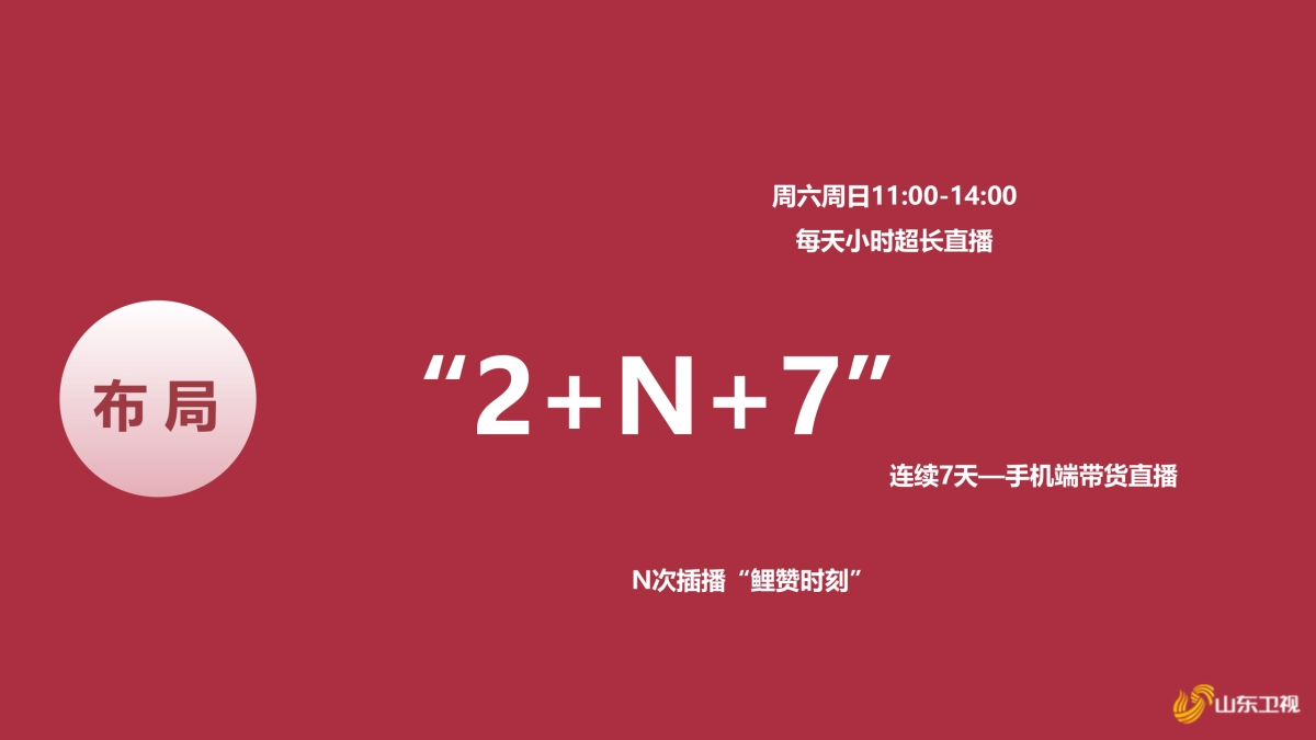 2021山东卫视《鲤赞新生活》招商方案_第3页