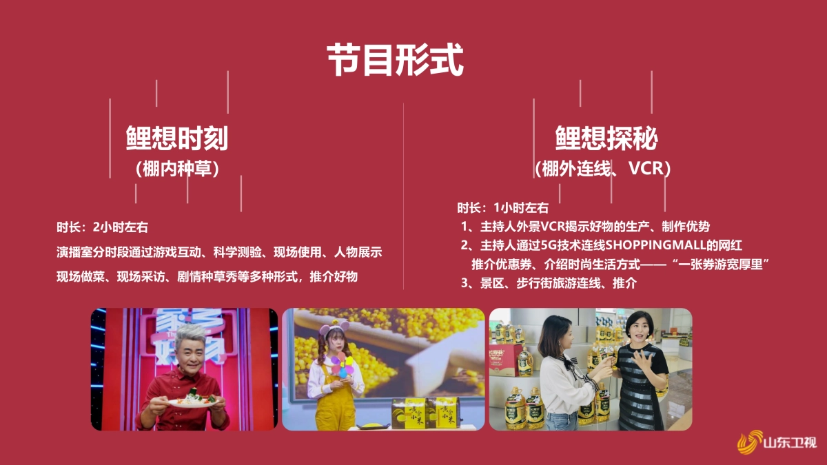 2021山东卫视《鲤赞新生活》招商方案_第6页