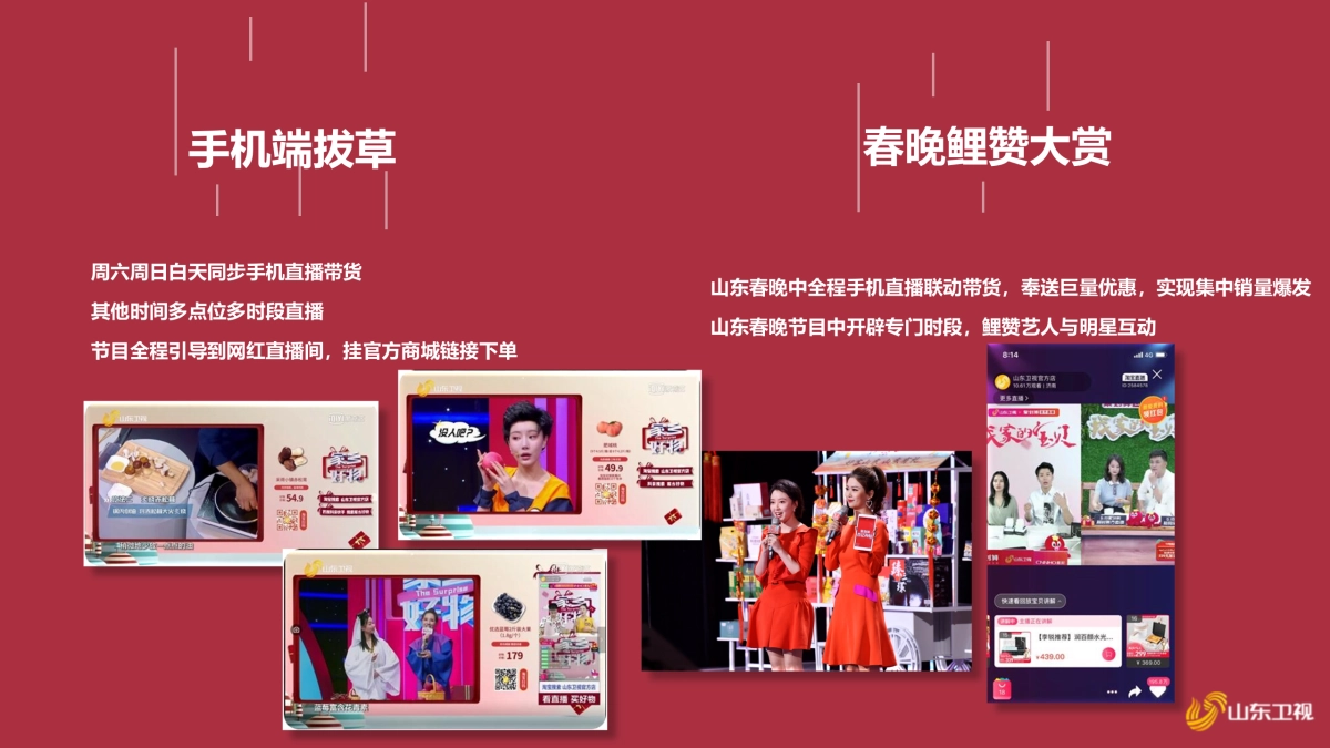 2021山东卫视《鲤赞新生活》招商方案_第7页