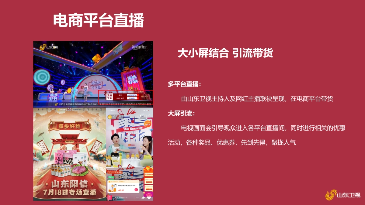 2021山东卫视《鲤赞新生活》招商方案_第9页