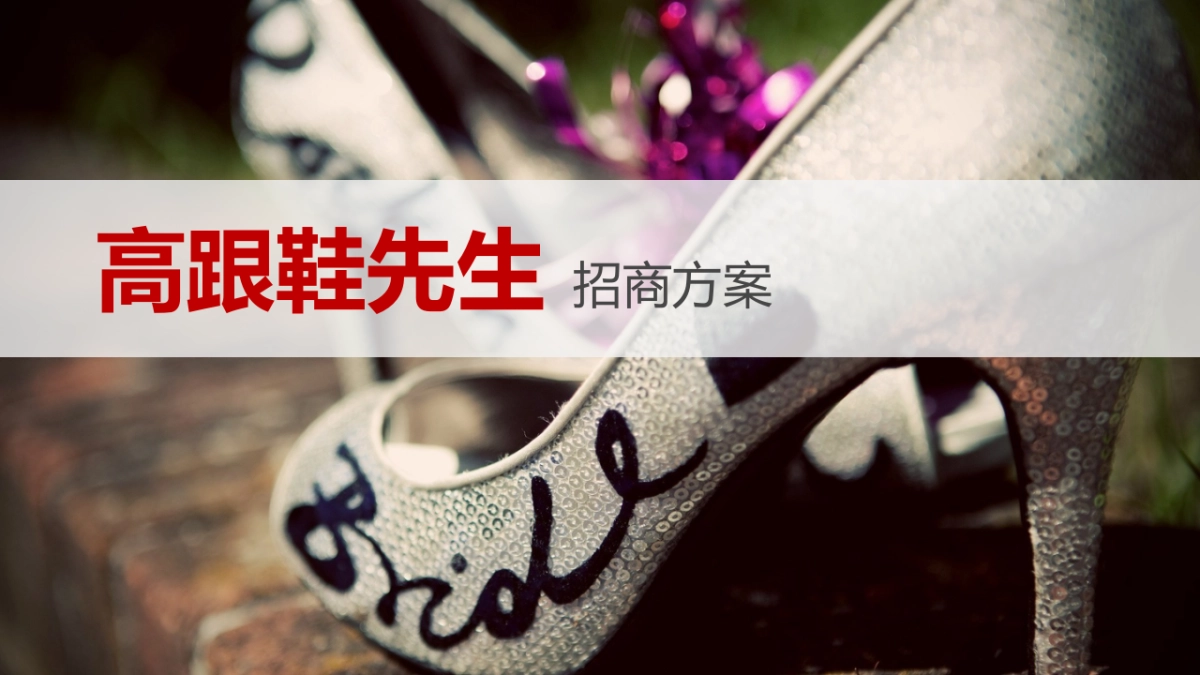 《高跟鞋先生》电影招商方案_第1页