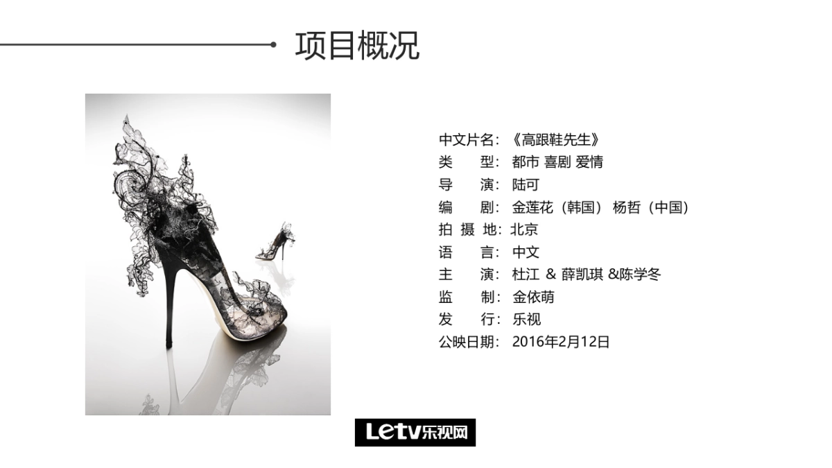 《高跟鞋先生》电影招商方案_第6页