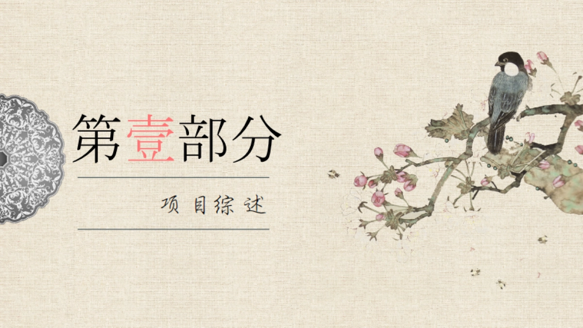 《如懿传》品牌渠道合作方案_第3页