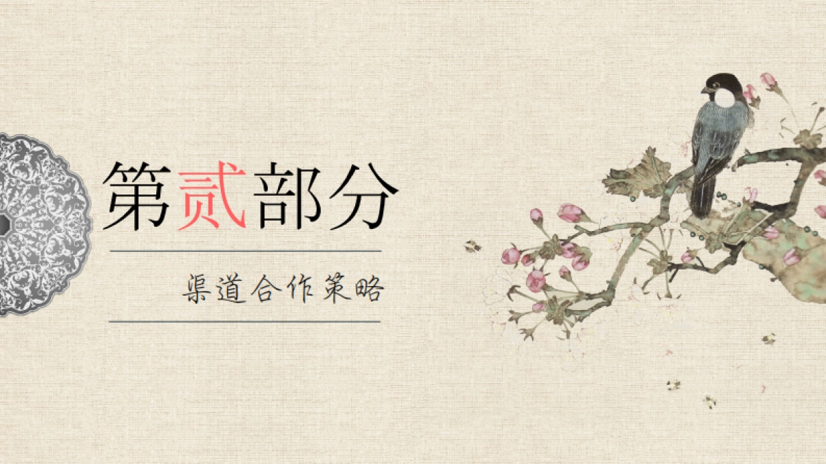 《如懿传》品牌渠道合作方案_第6页