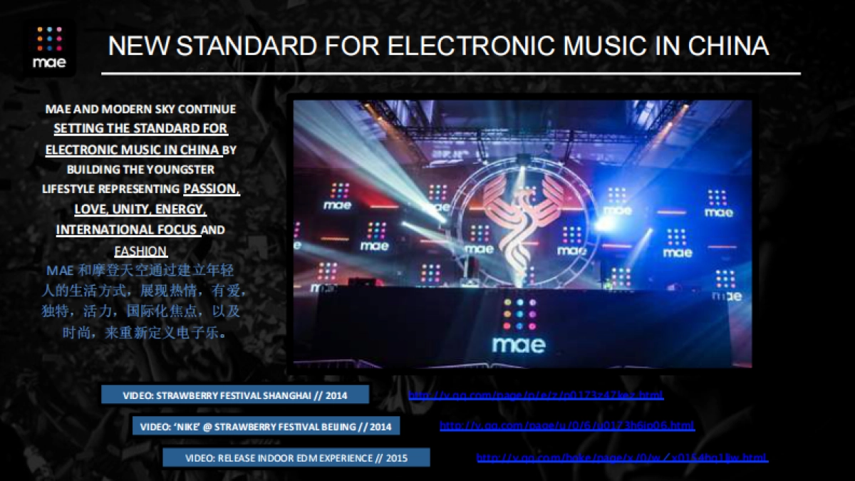 2016GENESIS EDM electronic festival-品牌合作方案_第5页