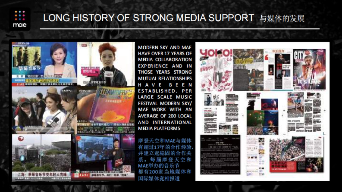 2016GENESIS EDM electronic festival-品牌合作方案_第9页