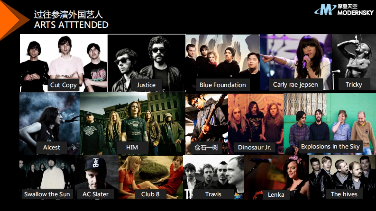 2016草莓音乐节-品牌合作方案_第10页