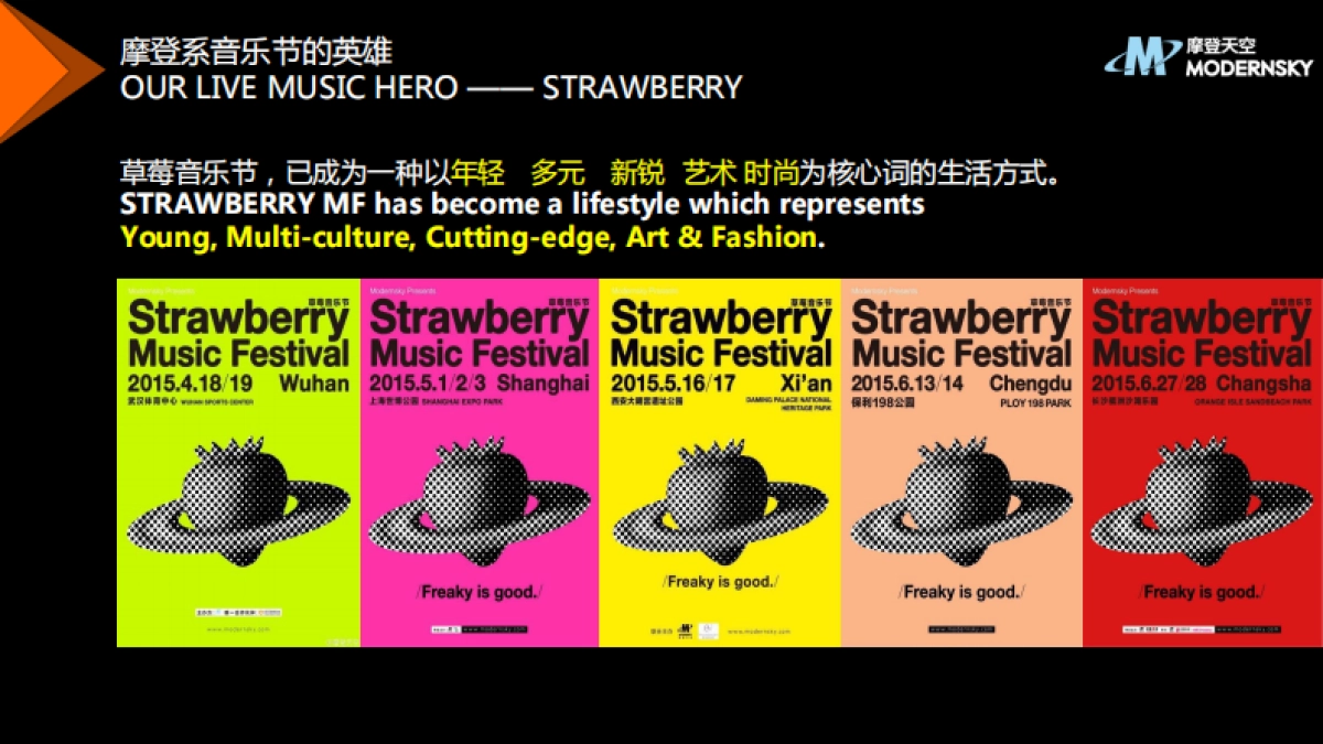 2016草莓音乐节-品牌合作方案_第4页