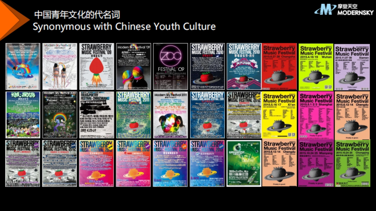 2016草莓音乐节-品牌合作方案_第5页