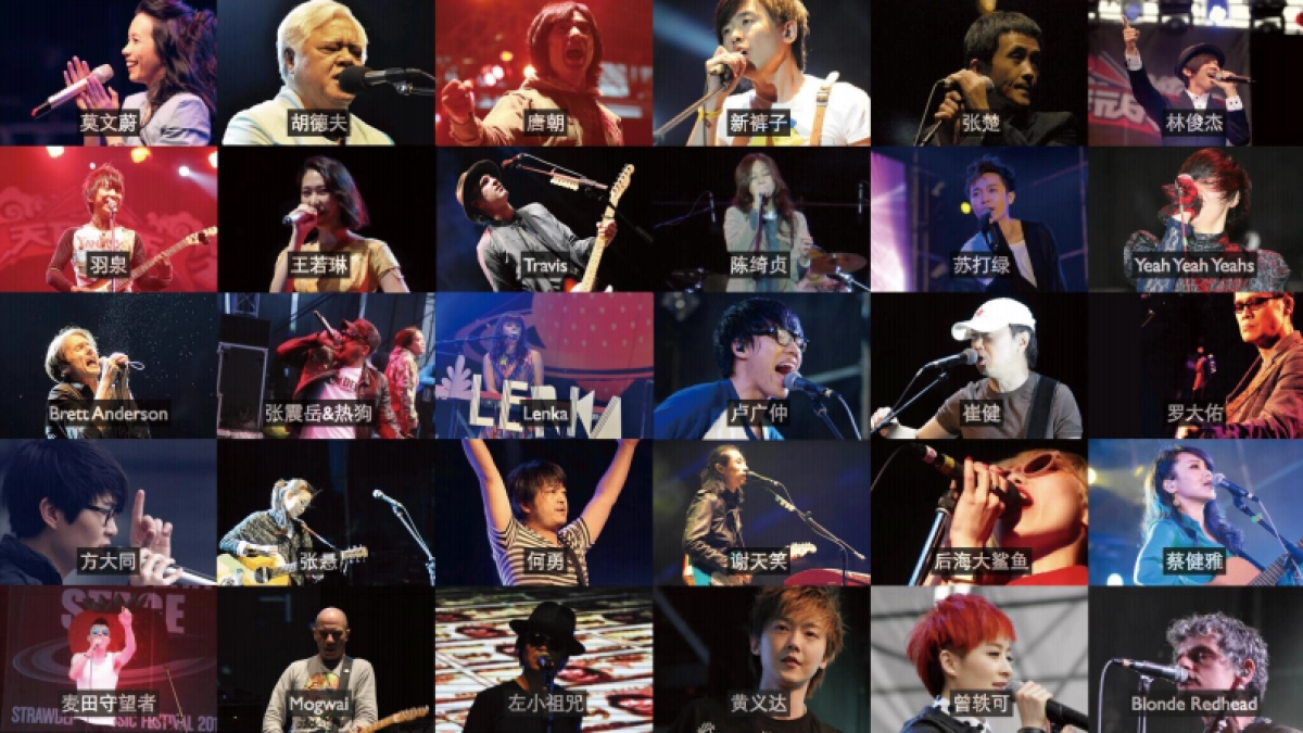 2016草莓音乐节-品牌合作方案_第9页