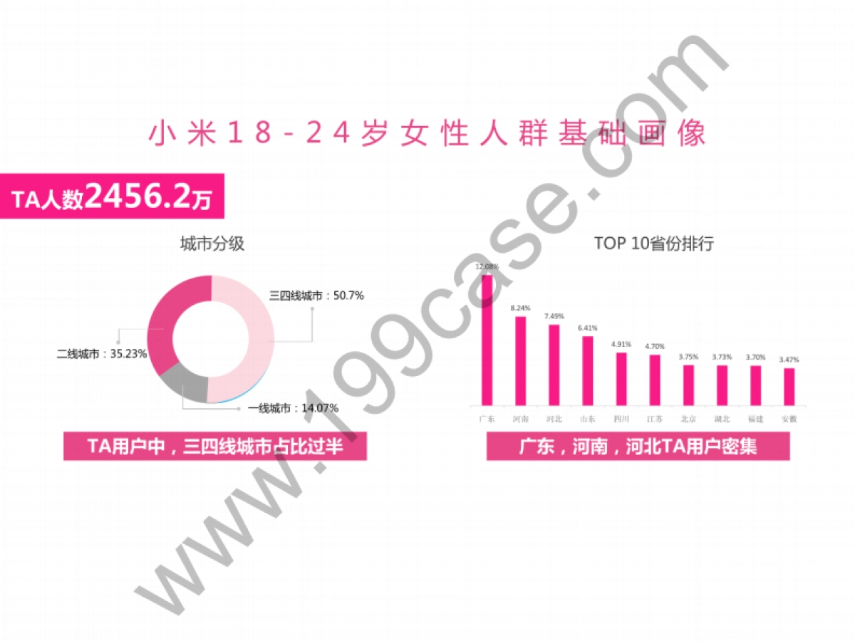 2017高洁丝x小米全年合作推广规划_第8页