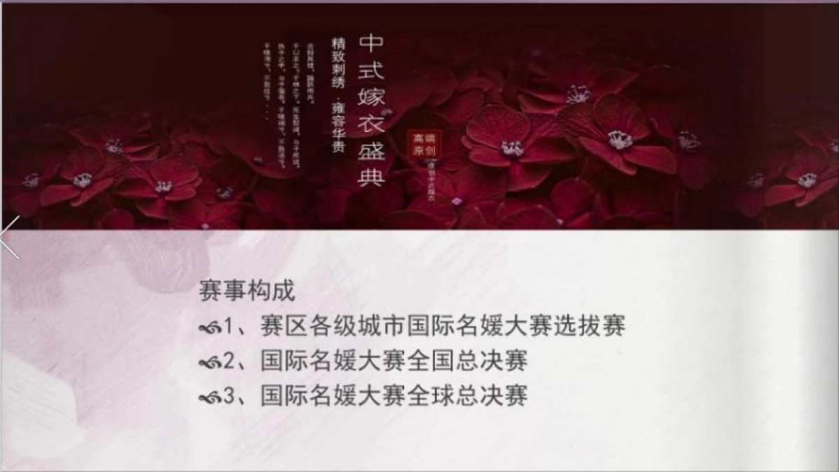 2017国际名媛大赛全球合作承办方案_第10页