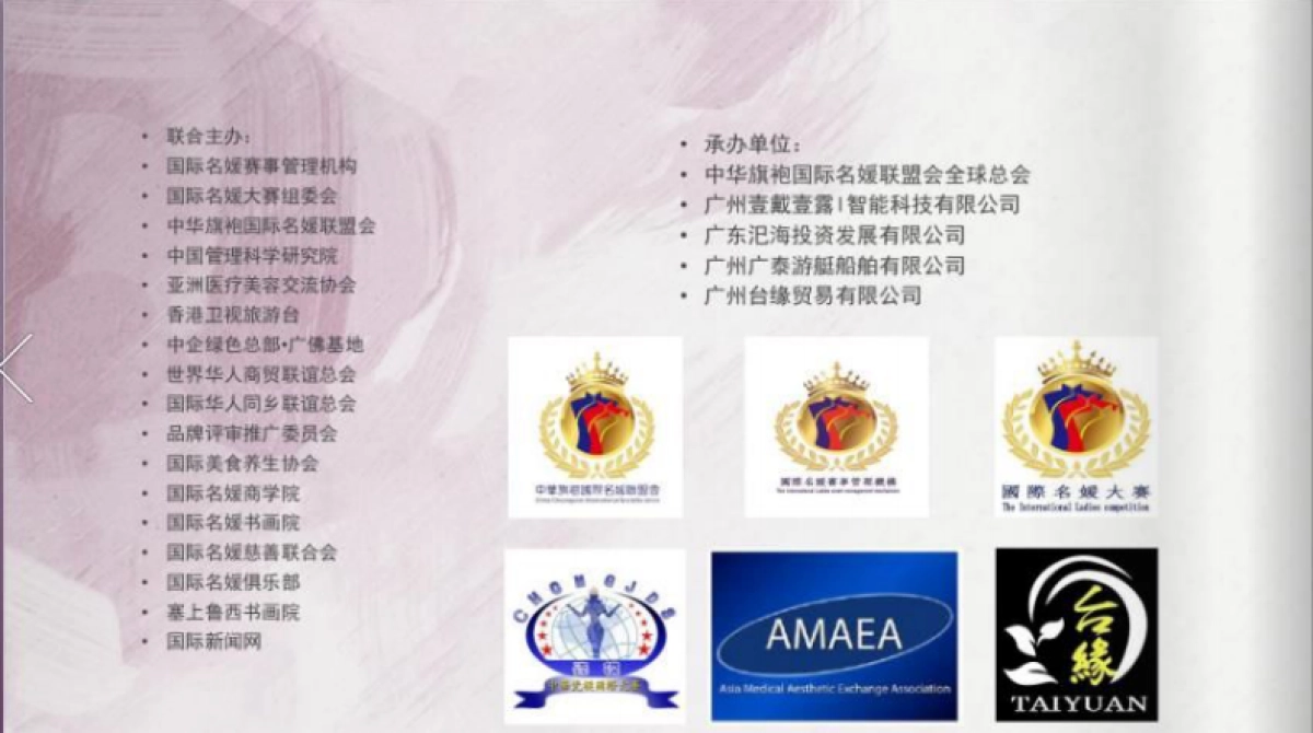 2017国际名媛大赛全球合作承办方案_第6页