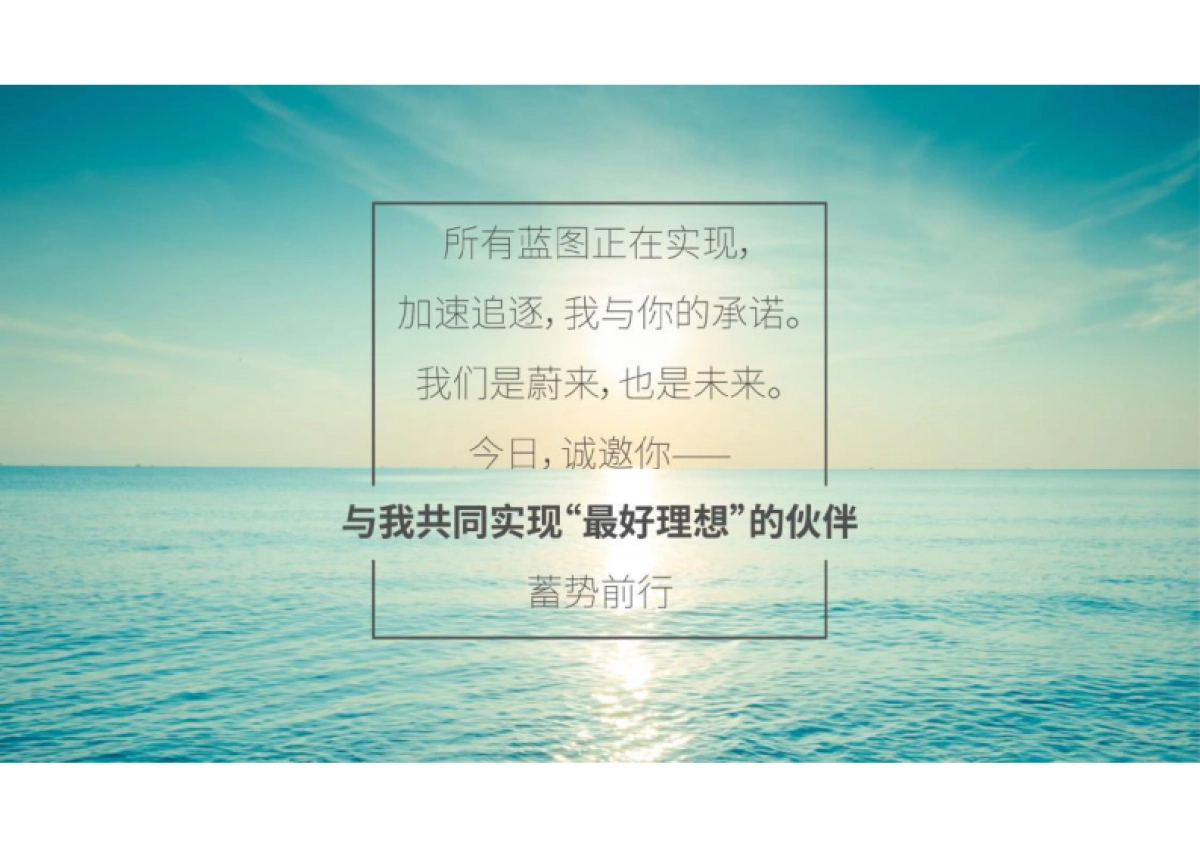 2017蔚来合作伙伴大会策划方案_第8页