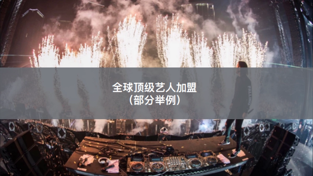 2018丛林电子音乐节合作计划书_第10页