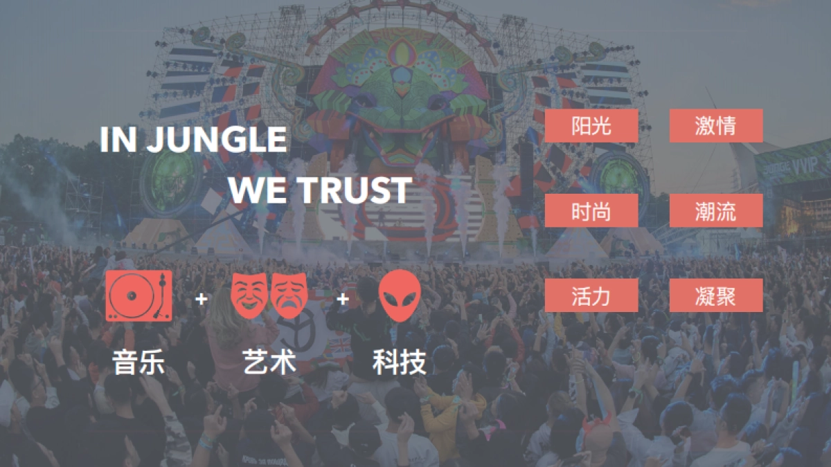 2018丛林电子音乐节合作计划书_第3页