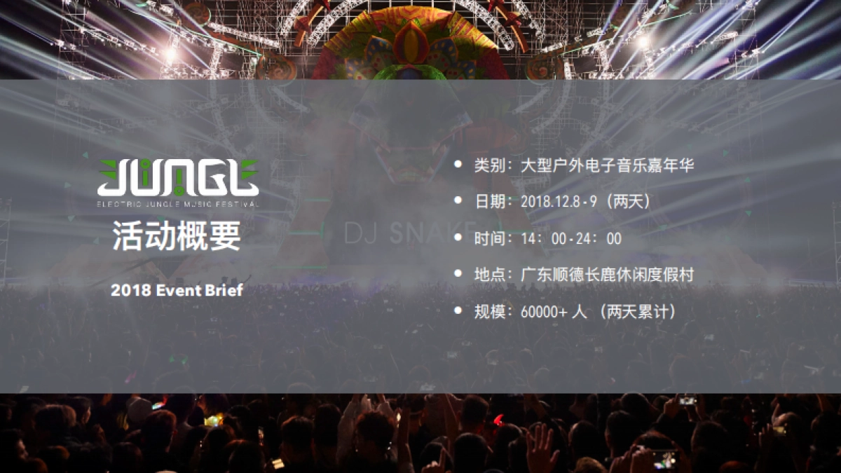 2018丛林电子音乐节合作计划书_第8页