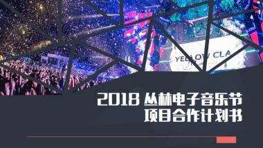 2018丛林电子音乐节合作计划书