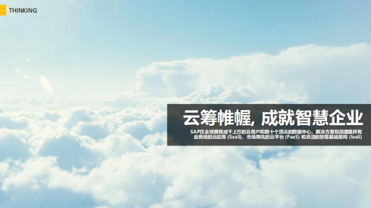2019SAP大中华区区合作伙伴峰会策划案_第10页