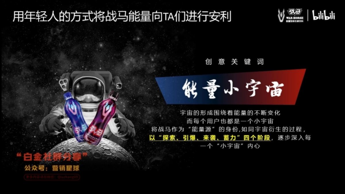 2020bilibili-战马合作方案_第10页