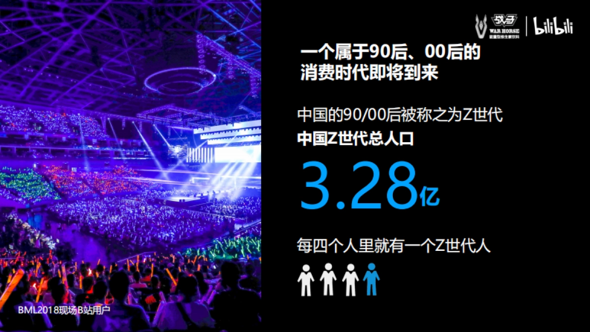 2020bilibili-战马合作方案_第3页