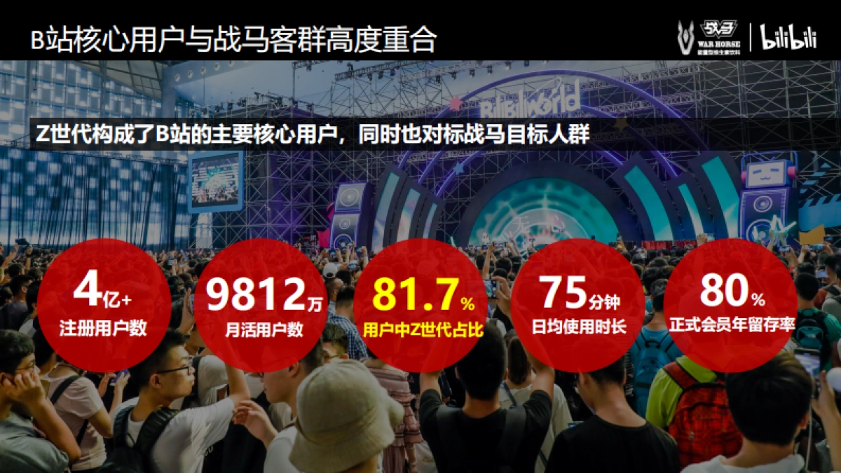 2020bilibili-战马合作方案_第6页