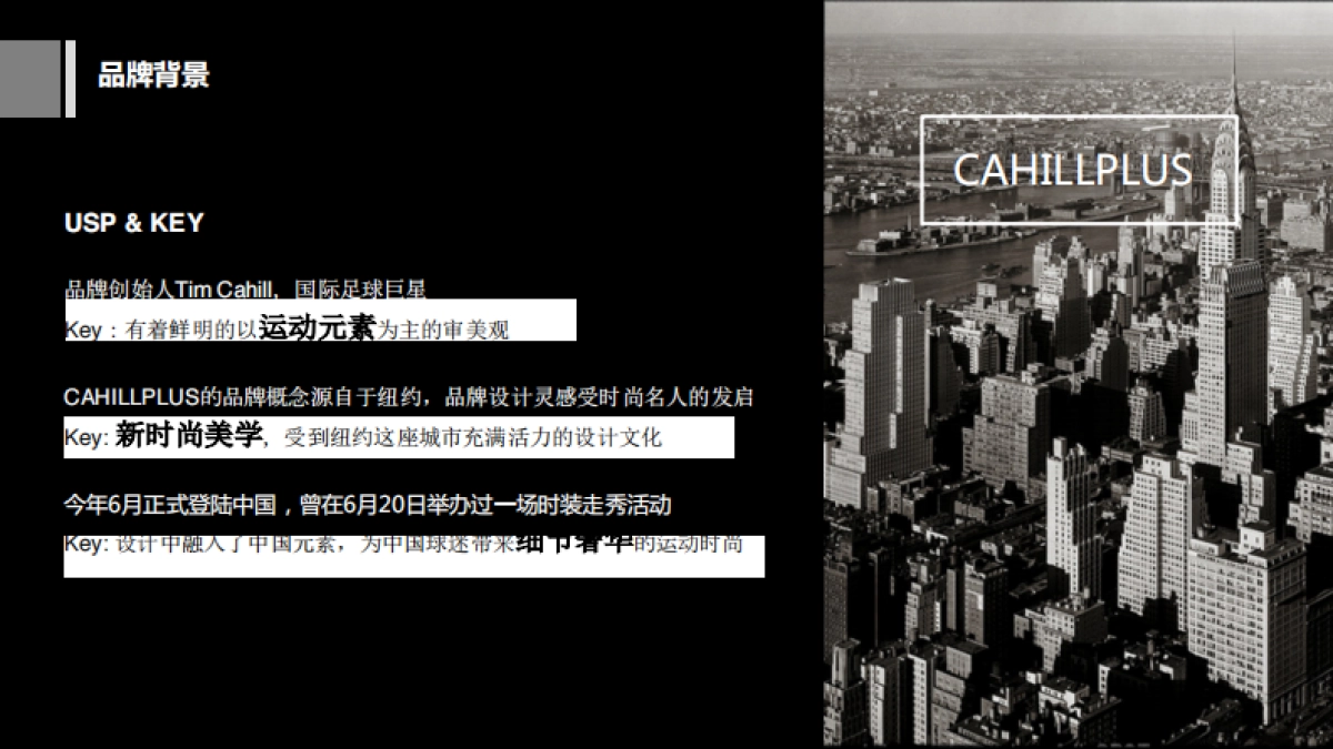 CAHILLPLUS x 寺库合作方案_第3页