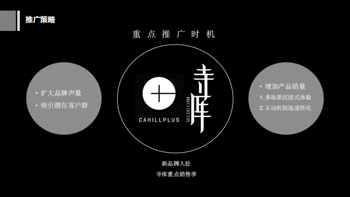 CAHILLPLUS x 寺库合作方案_第7页