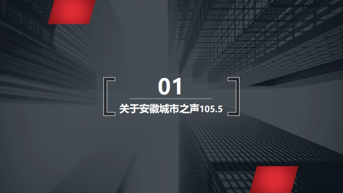 安徽城市之声-《汽车315》合作方案_第3页