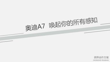 奥迪A7跨界合作方案