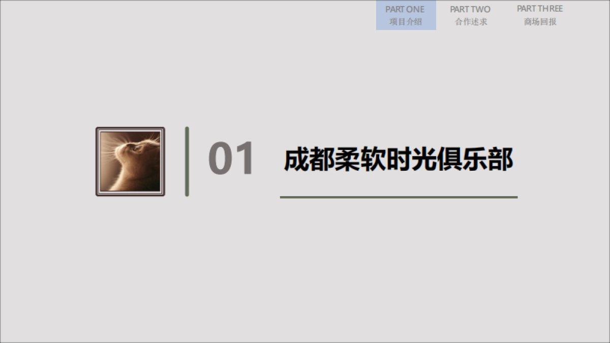 成都国际品猫会合作方案_第3页