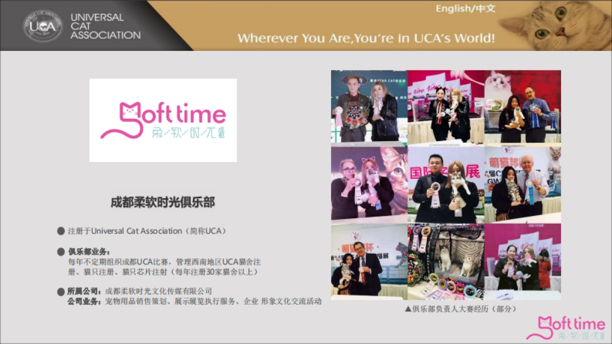 成都国际品猫会合作方案_第4页