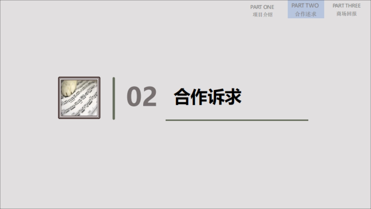 成都国际品猫会合作方案_第5页