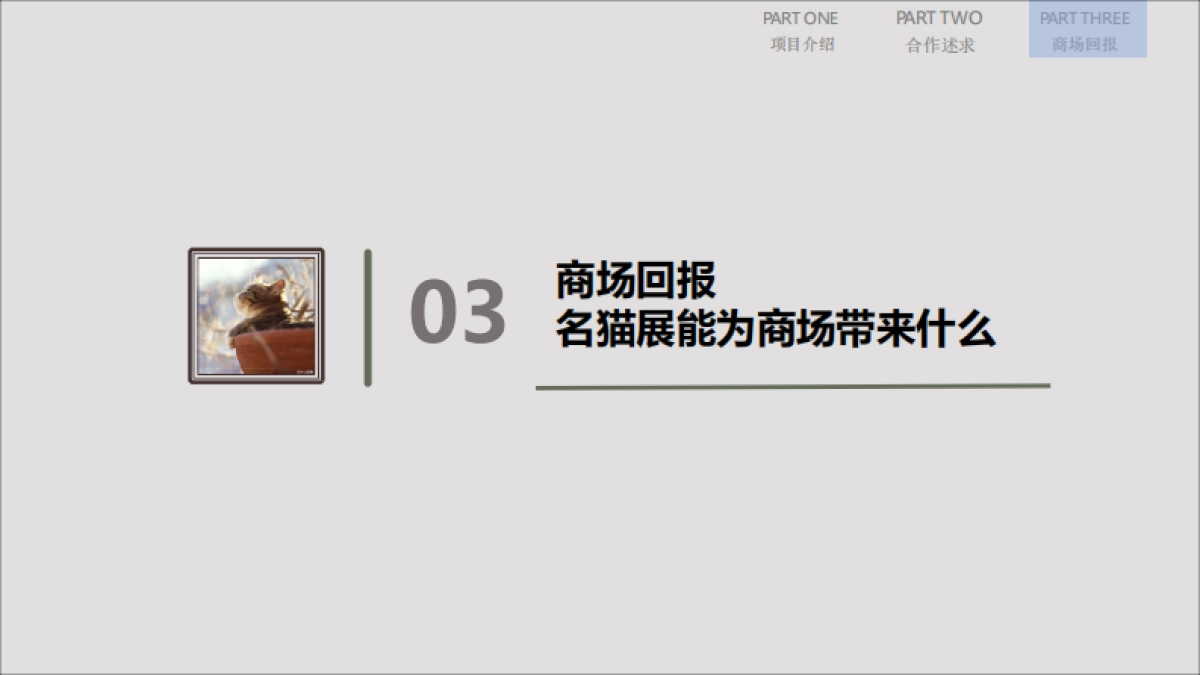 成都国际品猫会合作方案_第7页