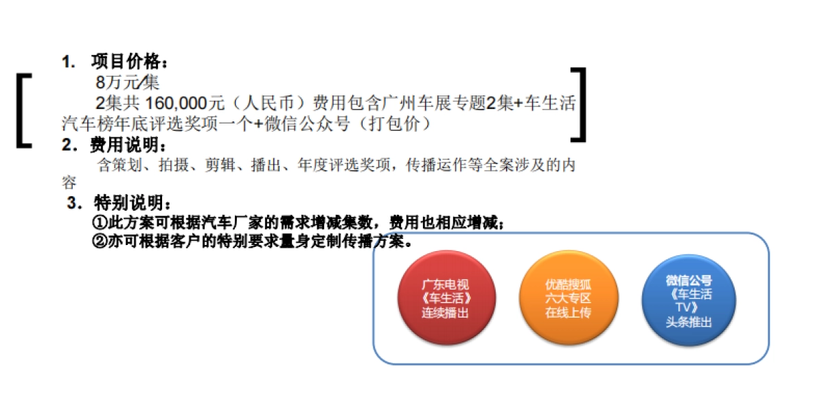 广州车展合作方案广东电视台《车生活》_第9页