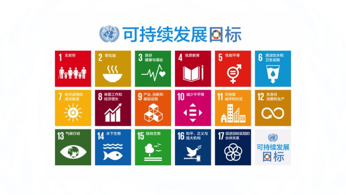 国际商会联合国可持续发展目标行动委员会合作方案_第4页