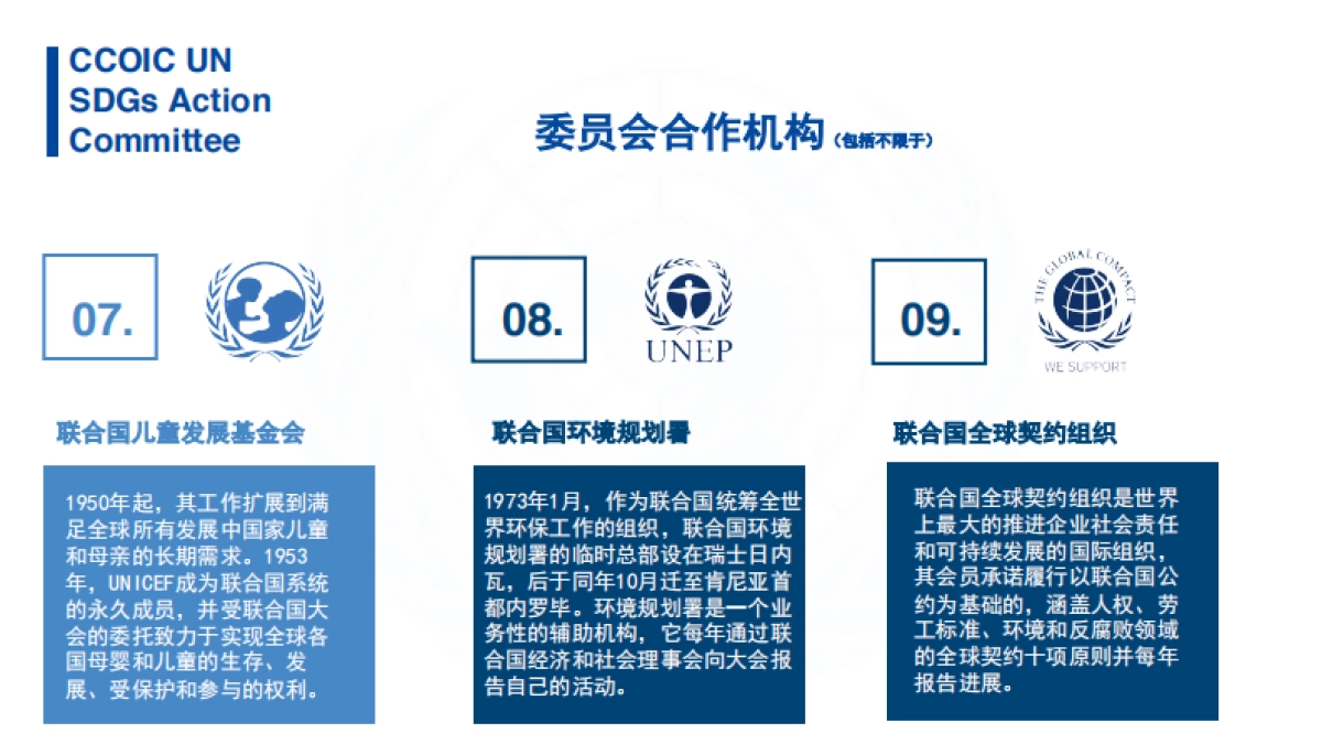 国际商会联合国可持续发展目标行动委员会合作方案_第9页