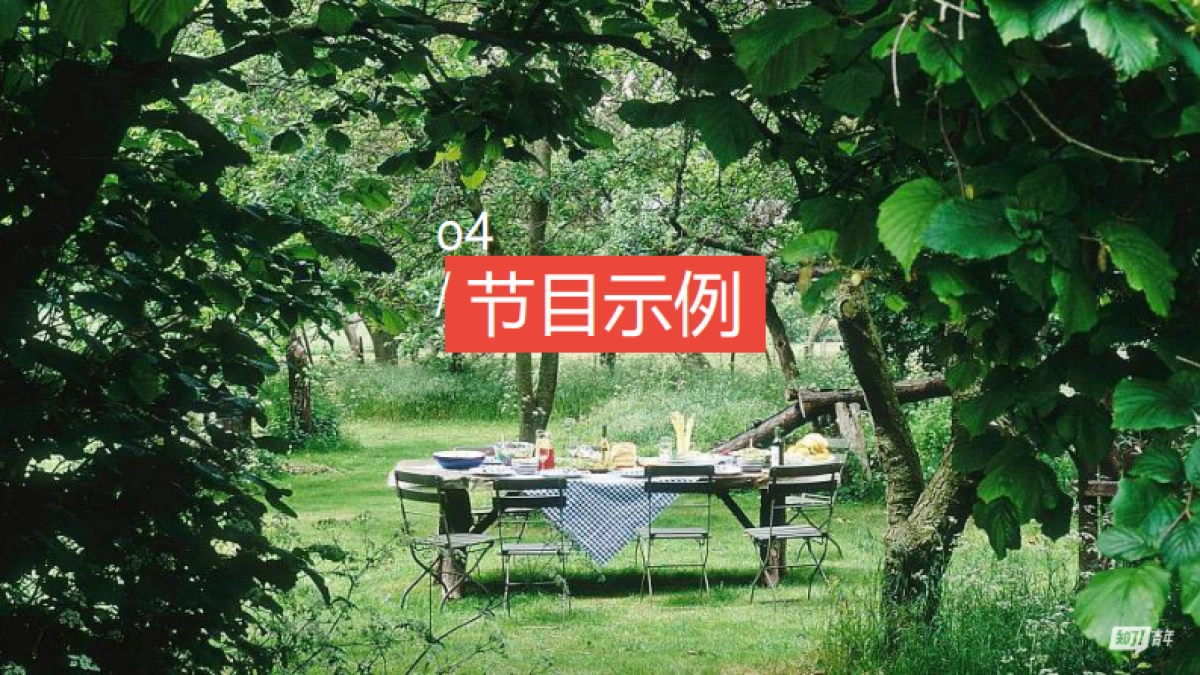 海尔x《靠山吃山靠海吃海》项目合作方案_第10页