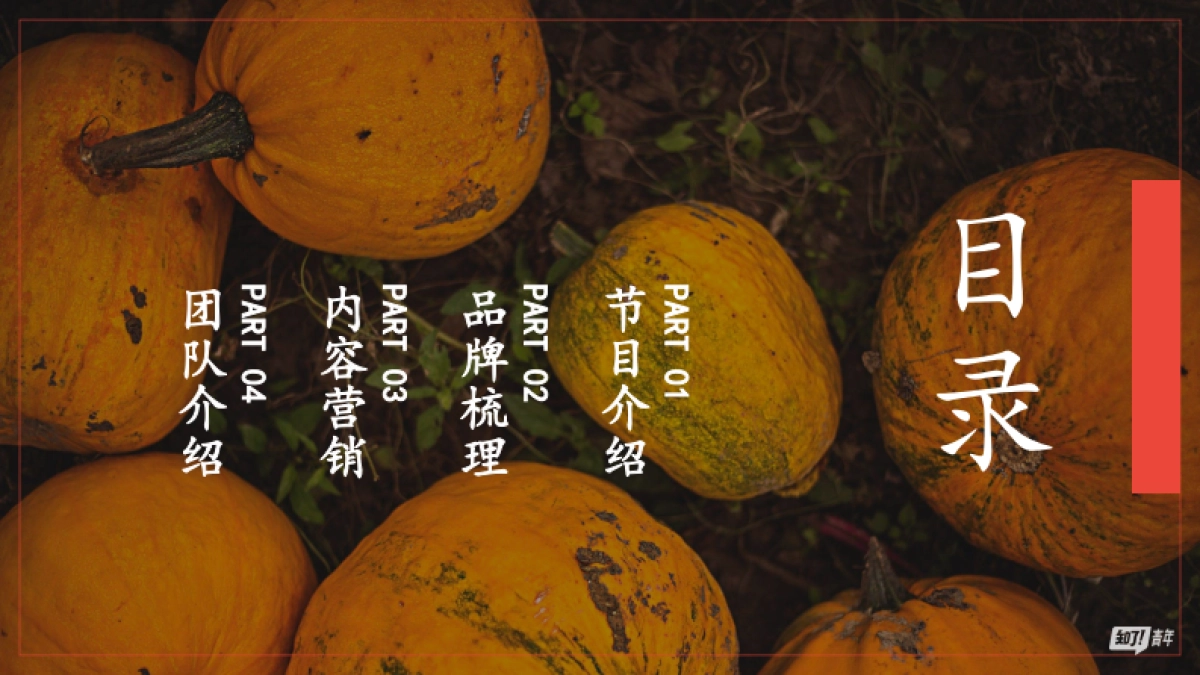 海尔x《靠山吃山靠海吃海》项目合作方案_第2页