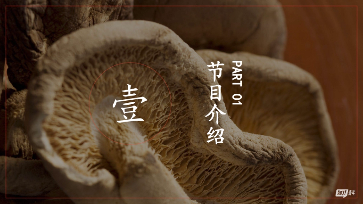 海尔x《靠山吃山靠海吃海》项目合作方案_第3页