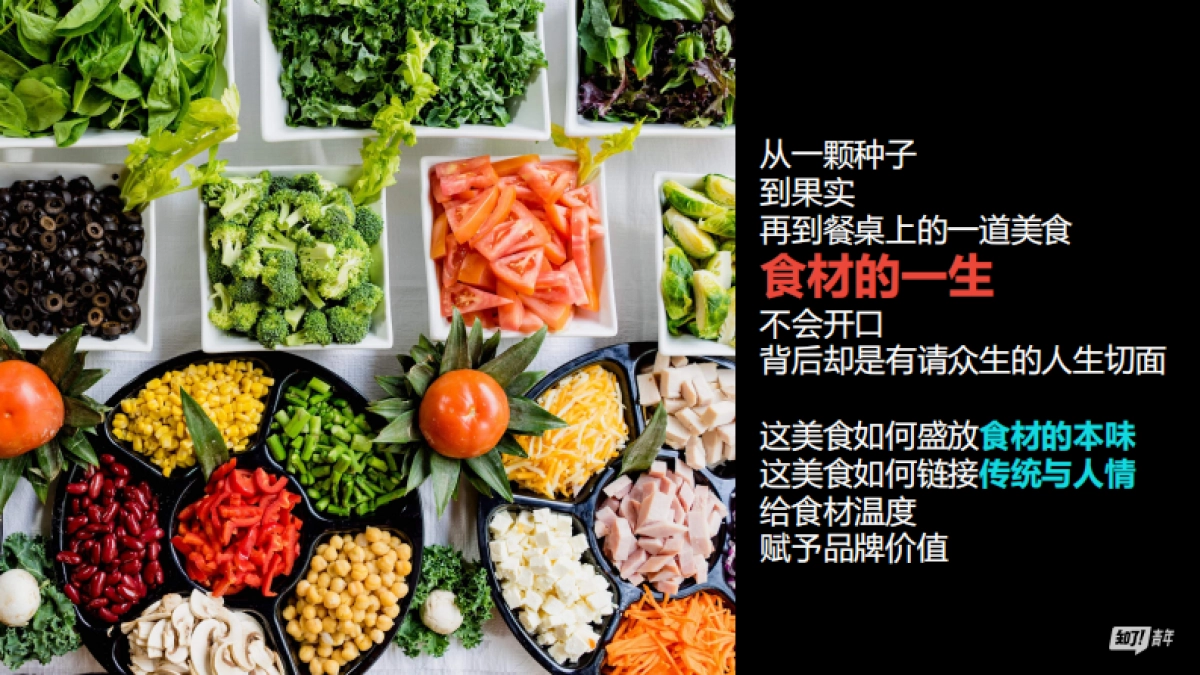 海尔x《靠山吃山靠海吃海》项目合作方案_第4页