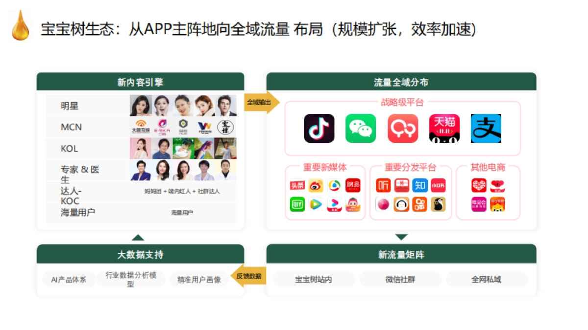 金龙鱼稻米油 x 宝宝树合作方案_第5页