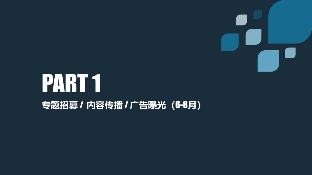 BMW X之旅合作方案_第7页