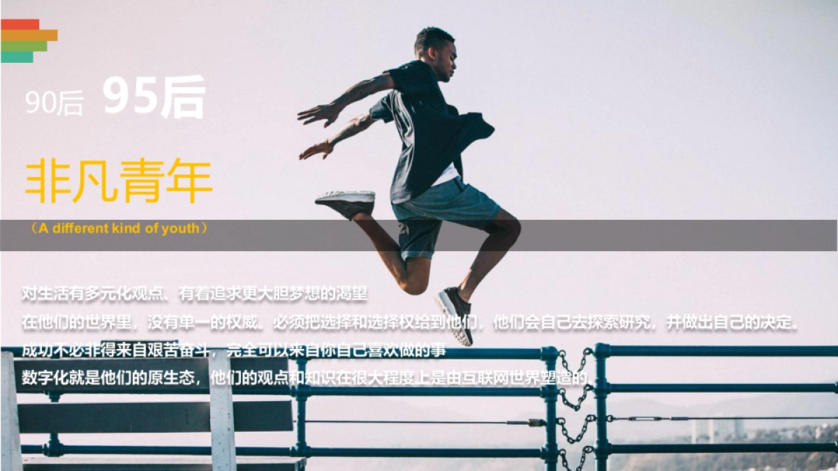 2020李宁运动 x 乐虎跨界营销合作方案_第8页