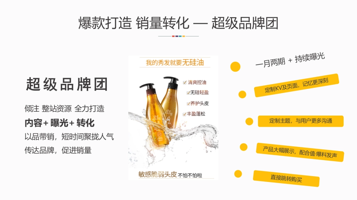 2020滋源X返利网营销合作方案_第8页