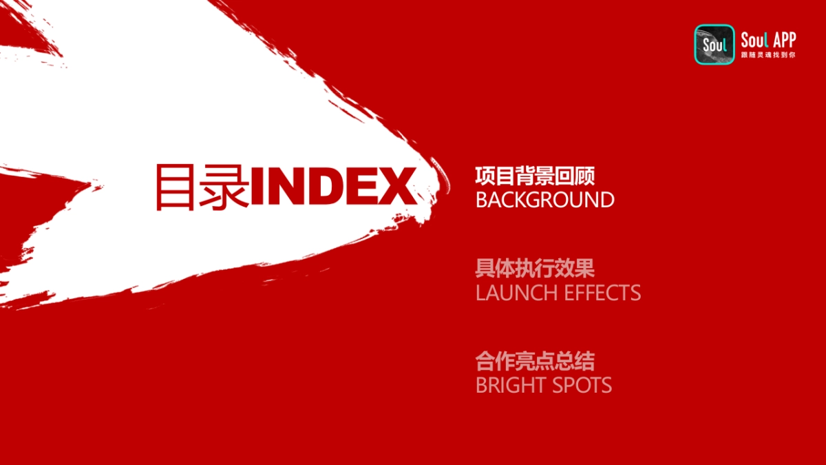 SoulX摩可纳品牌项目合作结案_第2页