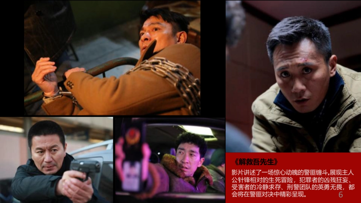 电影《解救吾先生》郁金香合作方案_第6页