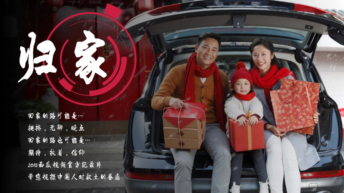 东风风行景逸@字节跳动短视频春节营销合作建议_第9页