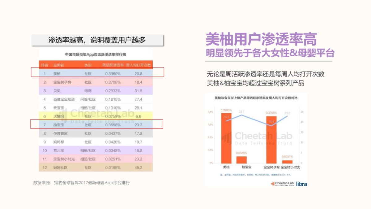 朵娅2019年度合作建议_第10页