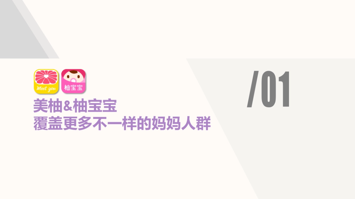 朵娅2019年度合作建议_第2页